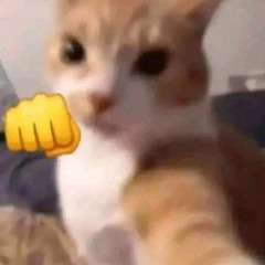 chiu chiu