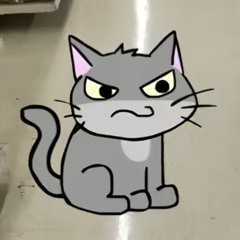 carlwillbus