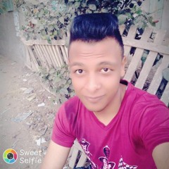 mahmoudBasha