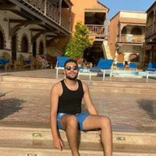 Ahmed Ashry’s avatar