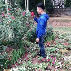 Thuyên Trần