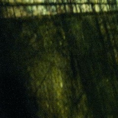 ARCTAL