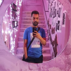 hamed
