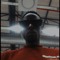 Scumbxg$Mxl