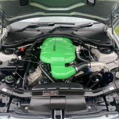 active member