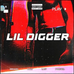 Lil Digger