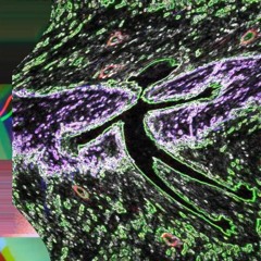 TayuAihara/藍原タユ