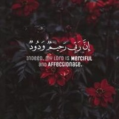 Heba Elshamy