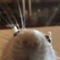 Ratinette