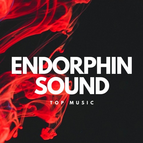 ENDORPHIN SOUND’s avatar