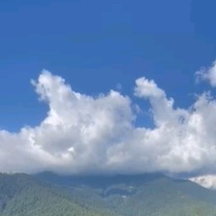LinLuna