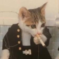 이서준 (이서준)