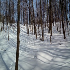 disarming the creedish