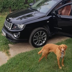 Jeep 2014