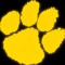 Yelllow Panther