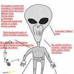 krazykaffir