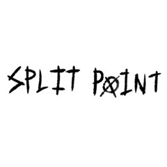 Split Point