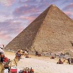 محمود الشوا