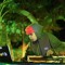 ORTSINIS || DJ SET ||