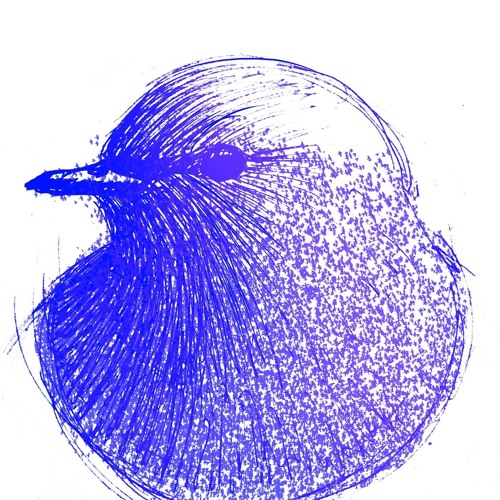 Bluebirds’s avatar