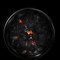 Entropy