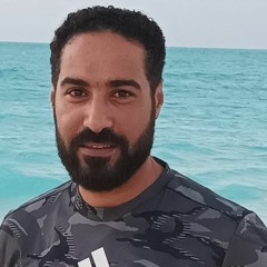 abdelrahman ali 32