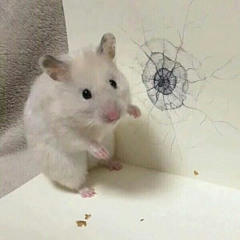 션