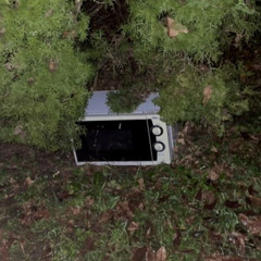 DJ Microwave