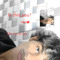 hikkilove5