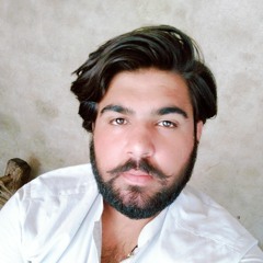 Muhammad Awais Sultan