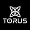 Torus Rave Community
