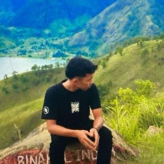Giltot Gans