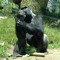 big_daddy097