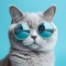 blablabla9cato
