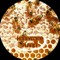 Honeycomb Planet