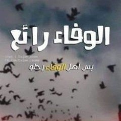 بدايه جديده