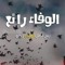 بدايه جديده