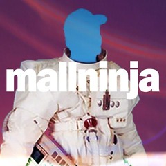 [mallninja]