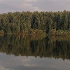 November South — Cold Dead Hands (www.lightaudio.ru).mp3