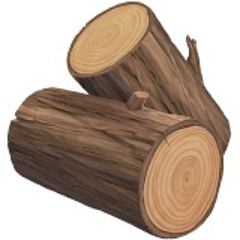 TheRealWood_228