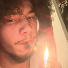 604Draco
