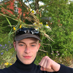 brormajllund