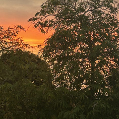 thirtyonedaysofaugust