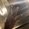 NorthMiamiWestsideAnt