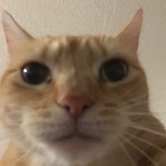 Boe
