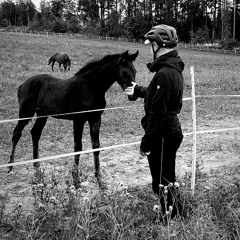 Matias Hämäläinen