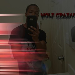 Wolf Grae///
