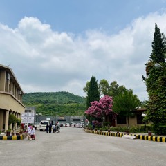 musکاn