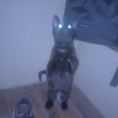 mariah :)