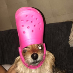 mle